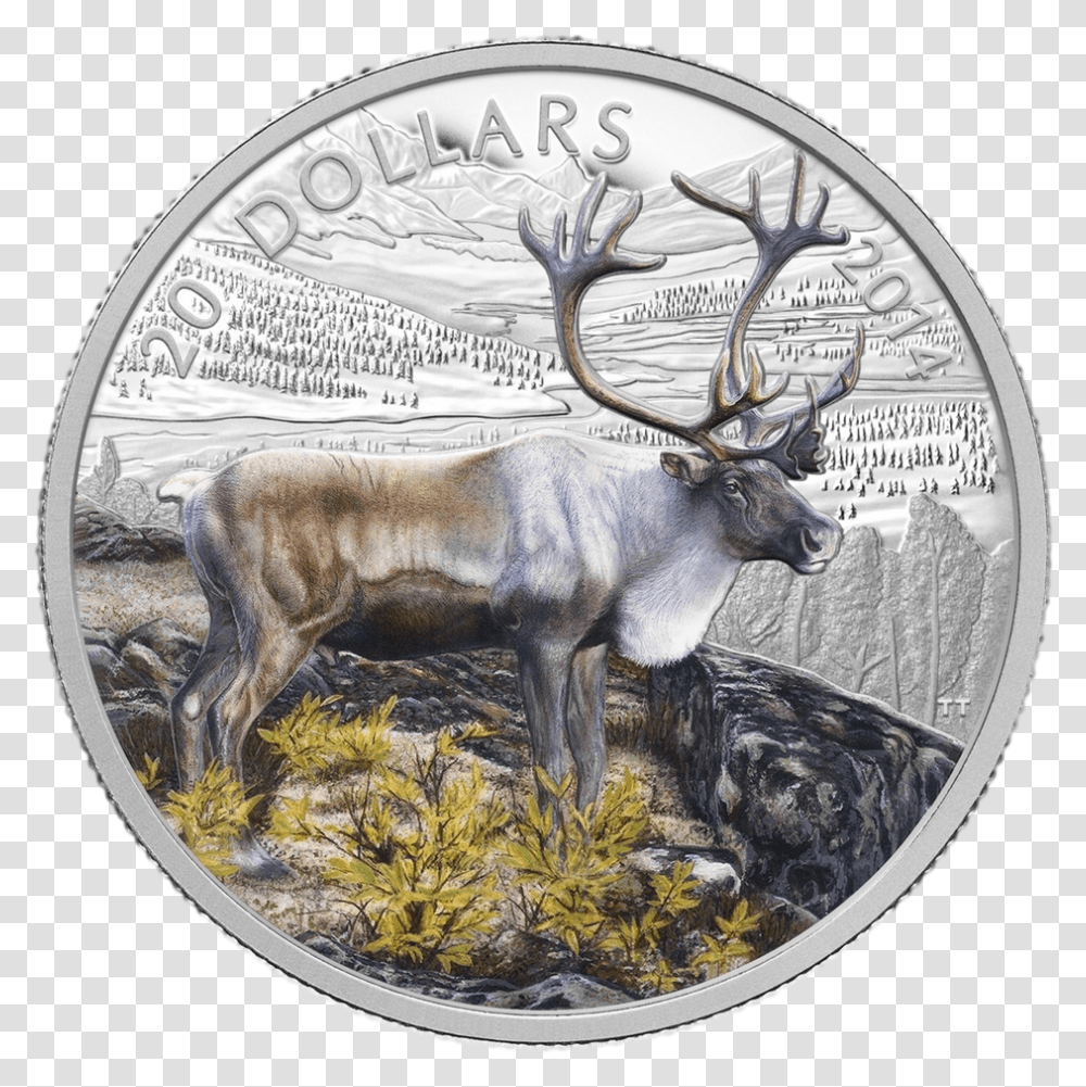 The Caribou Fine Silver Coloured Coin Elk, Deer, Wildlife, Mammal, Animal Transparent Png