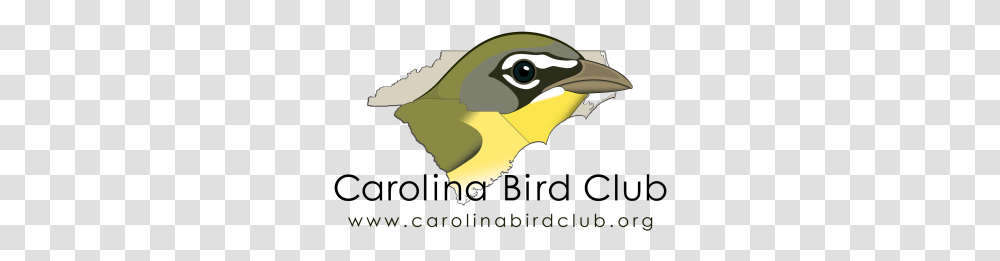 The Carolina Bird Club Carolina Bird Club, Beak, Animal, Blackbird, Outdoors Transparent Png