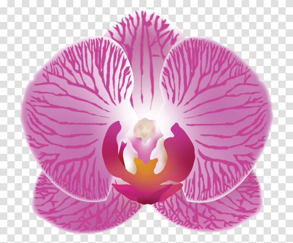 The Case For More Plantmoji - Discover Share Moth Orchid, Flower, Blossom, Geranium, Petal Transparent Png