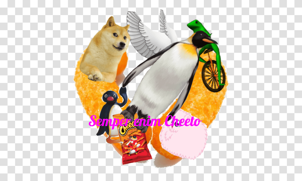The Cheeto Republic Penguin, Animal, Bird, Dog, Pet Transparent Png
