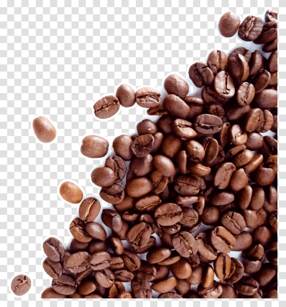 The Coffee Bean Amp Tea Leaf Espresso Cafe Dolce Gusto Coffee Beans Background, Plant, Vegetable, Food, Produce Transparent Png