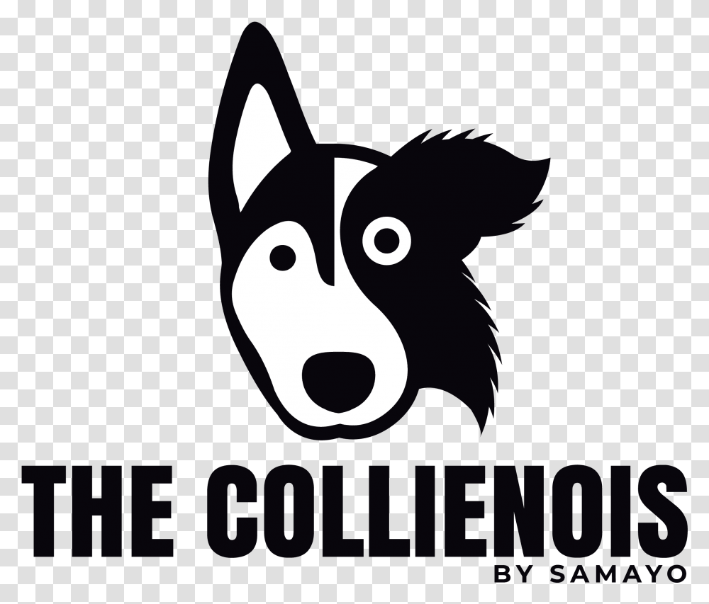 The Collienois Dog Blog Dog Training Pet Photography Desmond The Moon Bear, Mammal, Animal, Cat Transparent Png