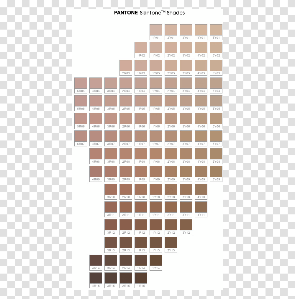 The Color Iq Skin Tone Chart List Of Foundation Shades, Word, Rug, Plot Transparent Png