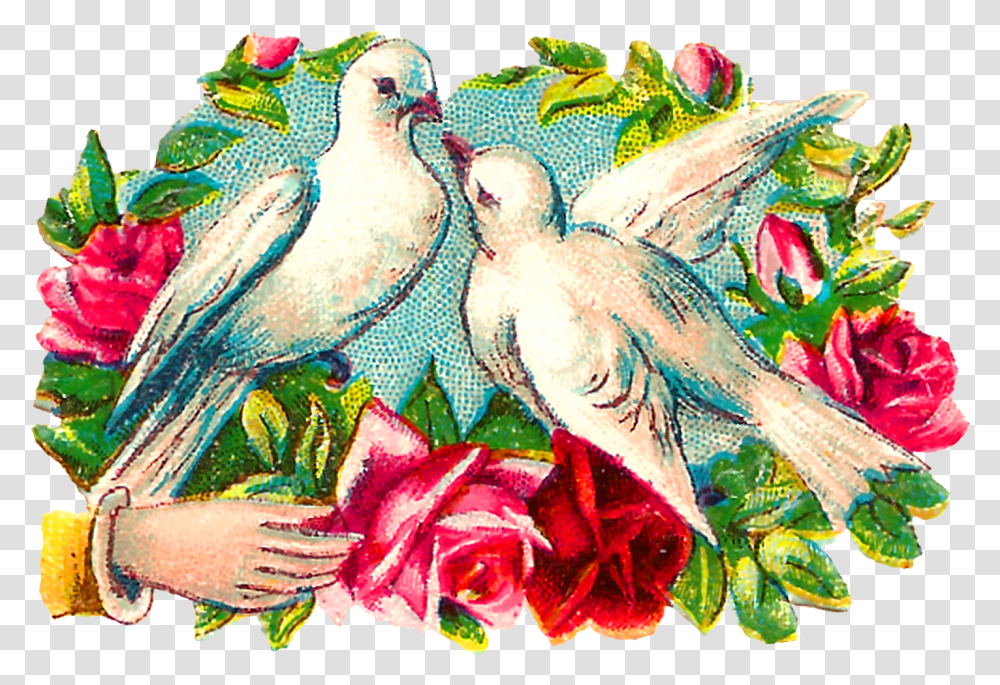 The Colorful Romantic Clipart Images Of Pairs Of Doves Clip Art, Animal, Bird, Painting, Doodle Transparent Png