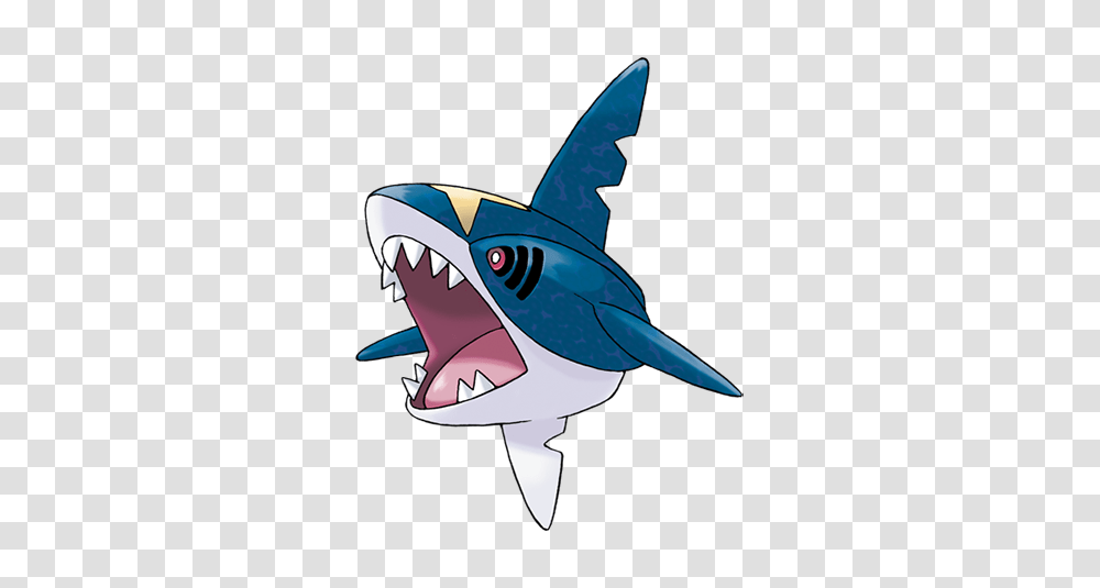 The Company Shares Sharpedo Gifs And Fun Facts For Shark, Sea Life, Fish, Animal, Great White Shark Transparent Png