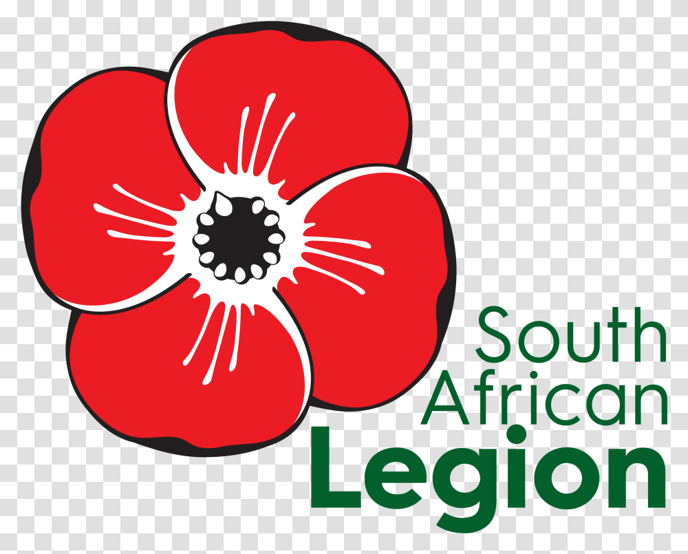 The Comrades Marathon And The Remembrance Poppy South African Remembrance Poppy, Plant, Petal, Flower, Blossom Transparent Png