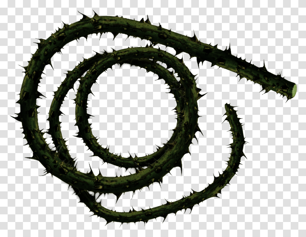 The Corpse Carrier Wields Creeping Death A 10ft Long Thorn Vine, Plant, Spiral, Coil, Whip Transparent Png
