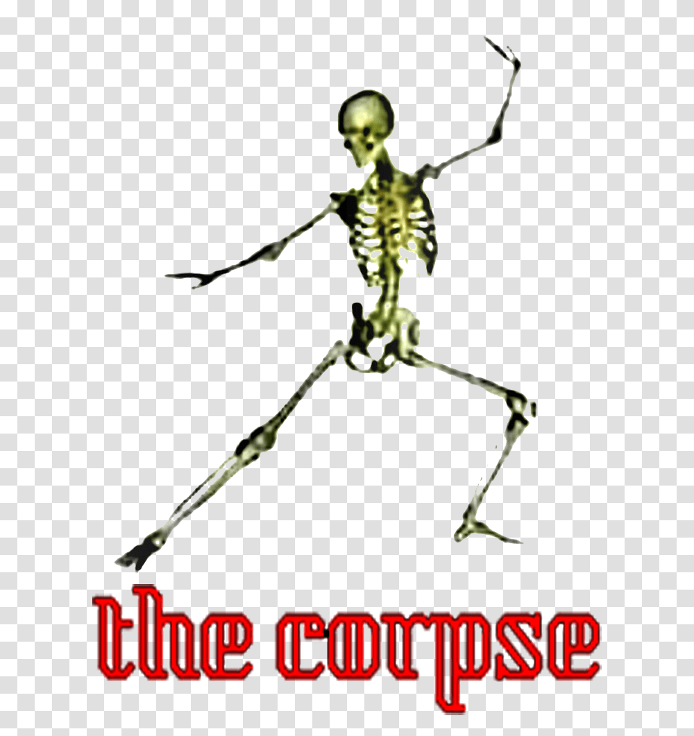 The Corpse Skeleton, Spider, Invertebrate, Animal, Arachnid Transparent Png