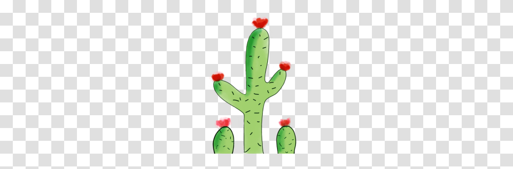 The Crafty Cactus, Plant Transparent Png