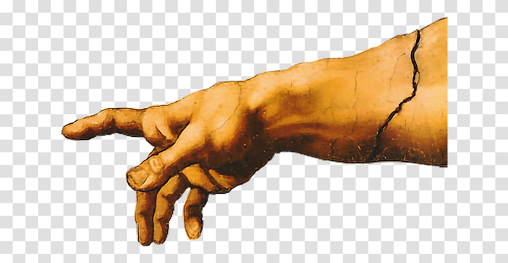 The Creation Of Adam Let's Make Man In Our Image Genesis, Animal, Mammal, Wildlife, Horse Transparent Png
