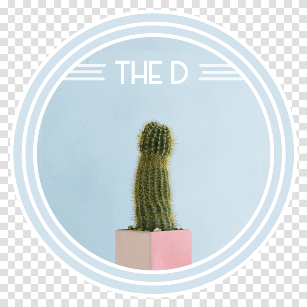 The D Circle, Plant, Cactus Transparent Png