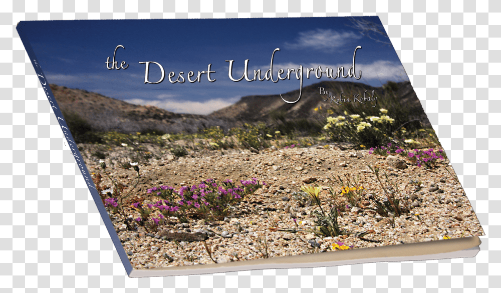 The Desert Underground Chaparral, Plant, Road, Flower, Blossom Transparent Png
