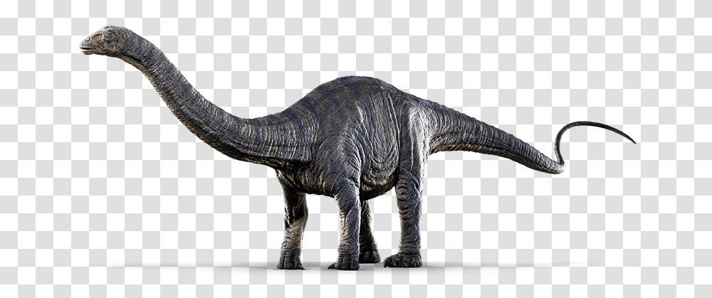 The Dinosaur Protection Group Has Hacked The Isla Nublar Jurassic, Reptile, Animal, T-Rex Transparent Png