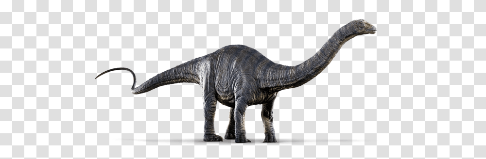 The Dinosaurs Of Jurassic World Fallen Kingdom, Reptile, Animal, T-Rex Transparent Png