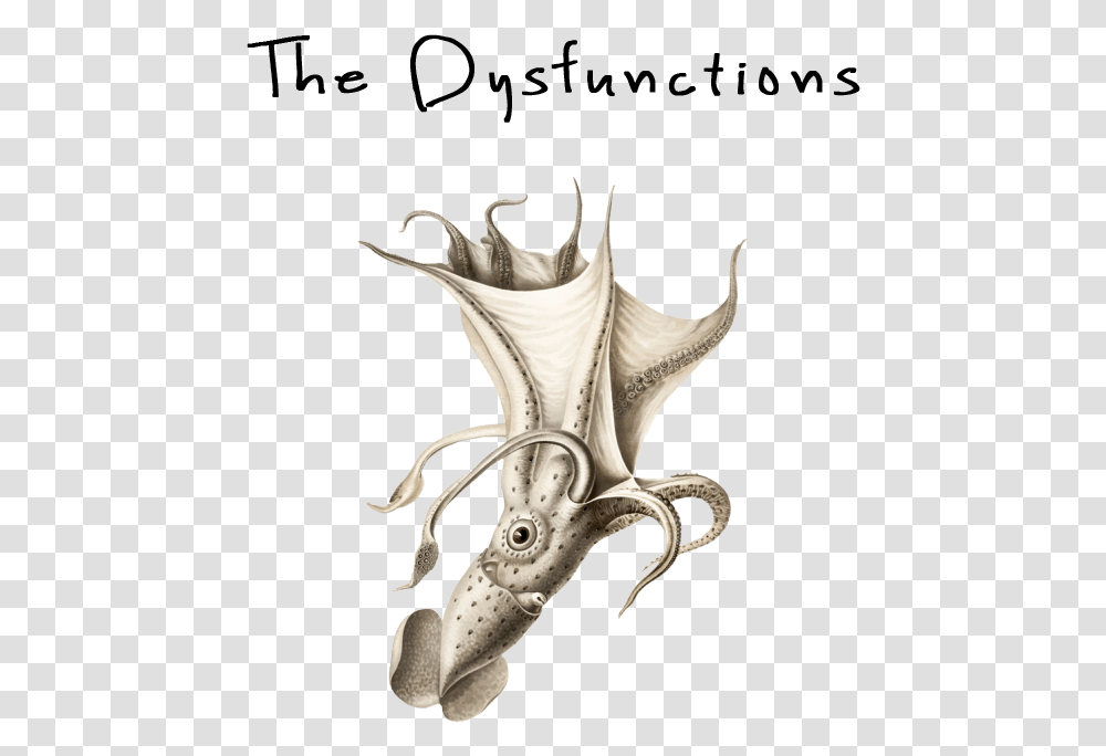 The Dysfunctions Vintage Squid Illustration, Sea Life, Animal, Seafood Transparent Png