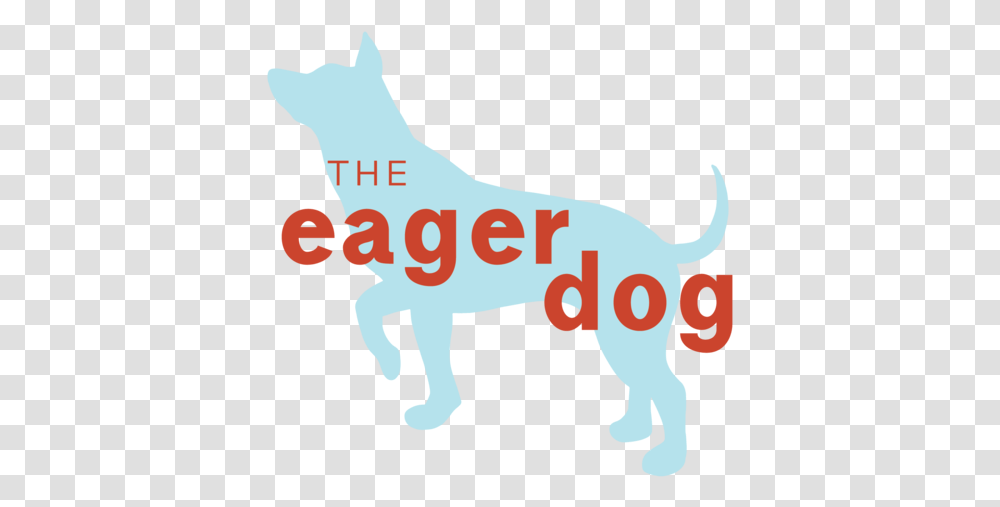 The Eager Dog Dog Catches Something, Animal, Mammal, Pet, Canine Transparent Png