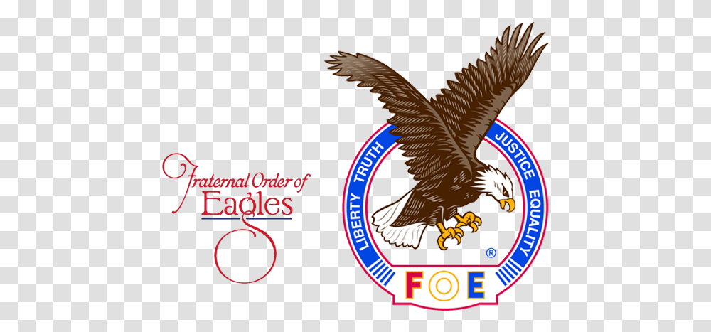 The Eagles 3959 Contact, Logo, Symbol, Bird, Animal Transparent Png