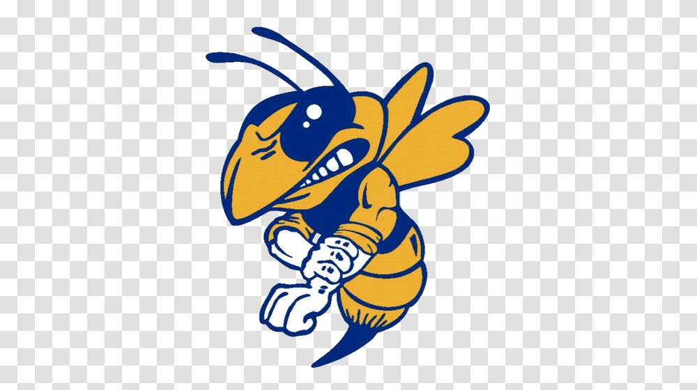 The East Canton Hornets, Insect, Invertebrate, Animal, Wasp Transparent Png