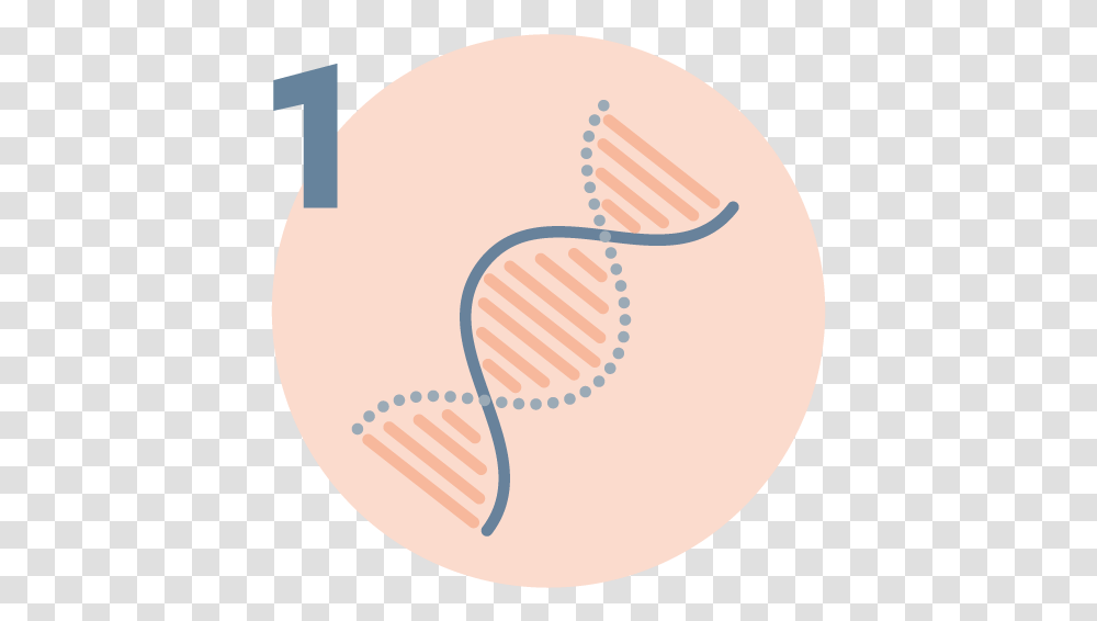 The Embryo As Patient Igenomix Foundation Art, Balloon Transparent Png