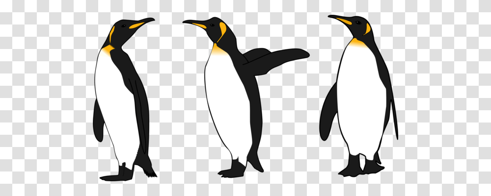 The Emperor Penguins Bird, King Penguin, Animal Transparent Png