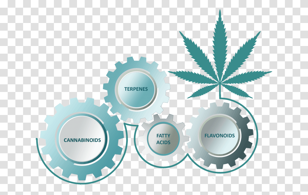 The Entourage Effect Is A Term That Explains How All Marijuana Leaf, Plant, Machine, Gear Transparent Png