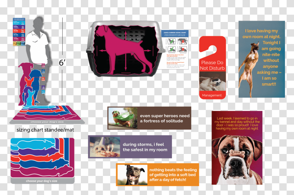 The Exercise Was Such A Success That Petsmart Asked Boxer, Dog, Canine, Animal, Mammal Transparent Png