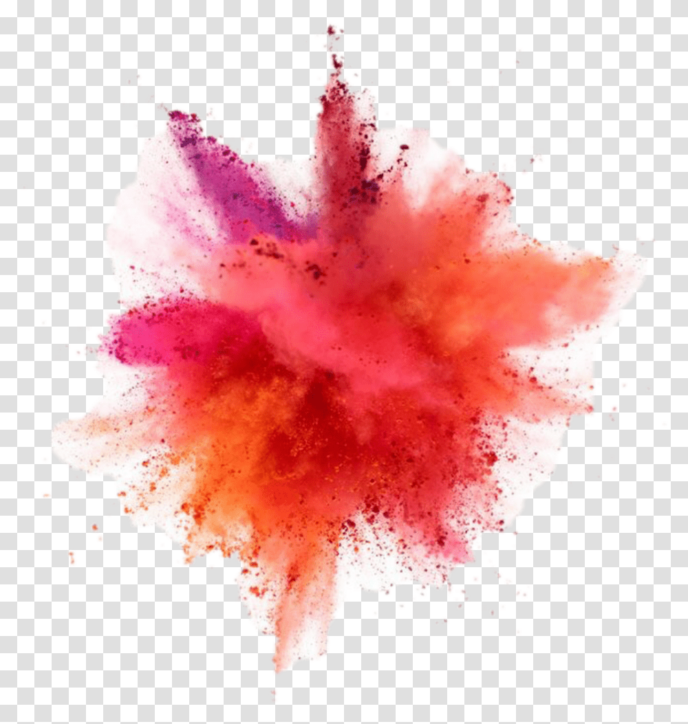 The Explosion Of Color Paint Powder Explosion, Petal, Flower, Plant, Blossom Transparent Png