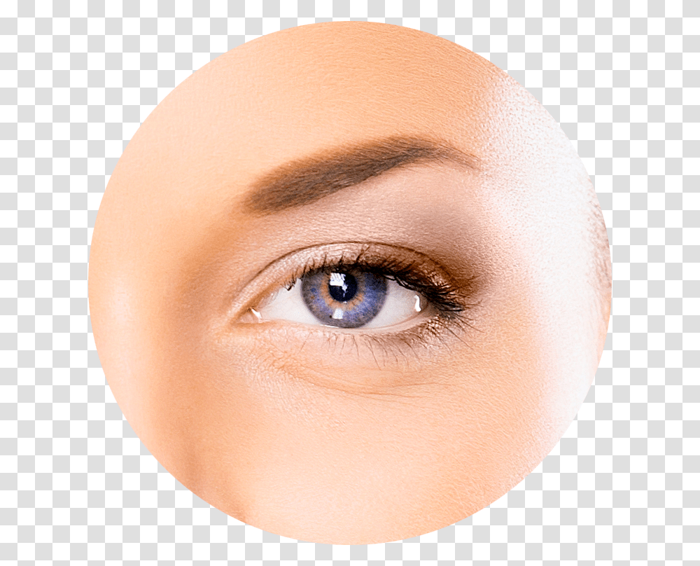 The External Eye Diagram Eye, Skin, Person, Human, Contact Lens Transparent Png