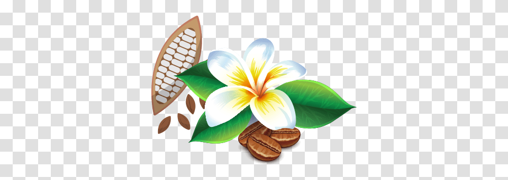 The Farm Maui Chocolate And Coffee Tours Maui Hawaii Fresh, Plant, Nut, Vegetable, Food Transparent Png