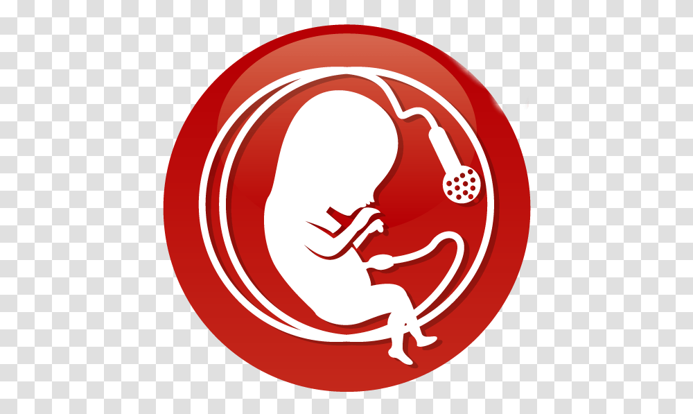The Fetal Position, Cupid, Frisbee, Toy Transparent Png