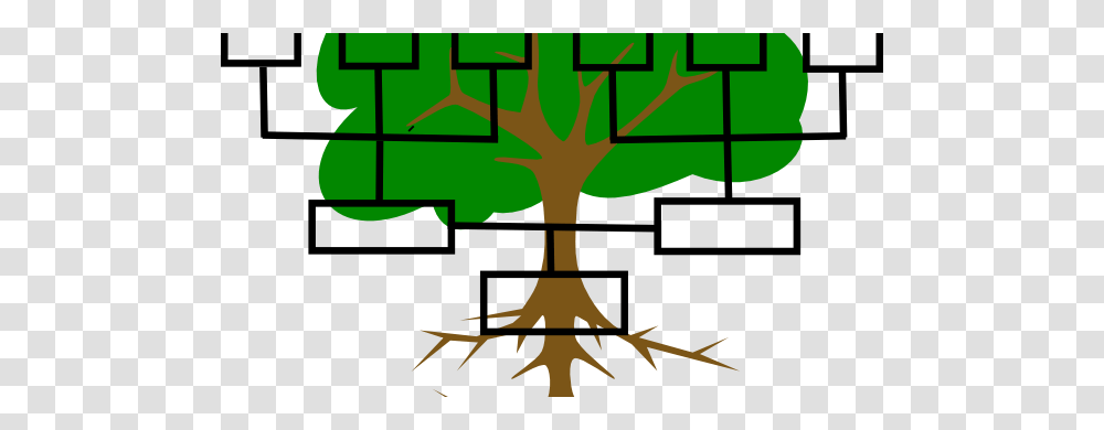 The First Digital Family Tree Operational In Romania, Plant, Outdoors Transparent Png