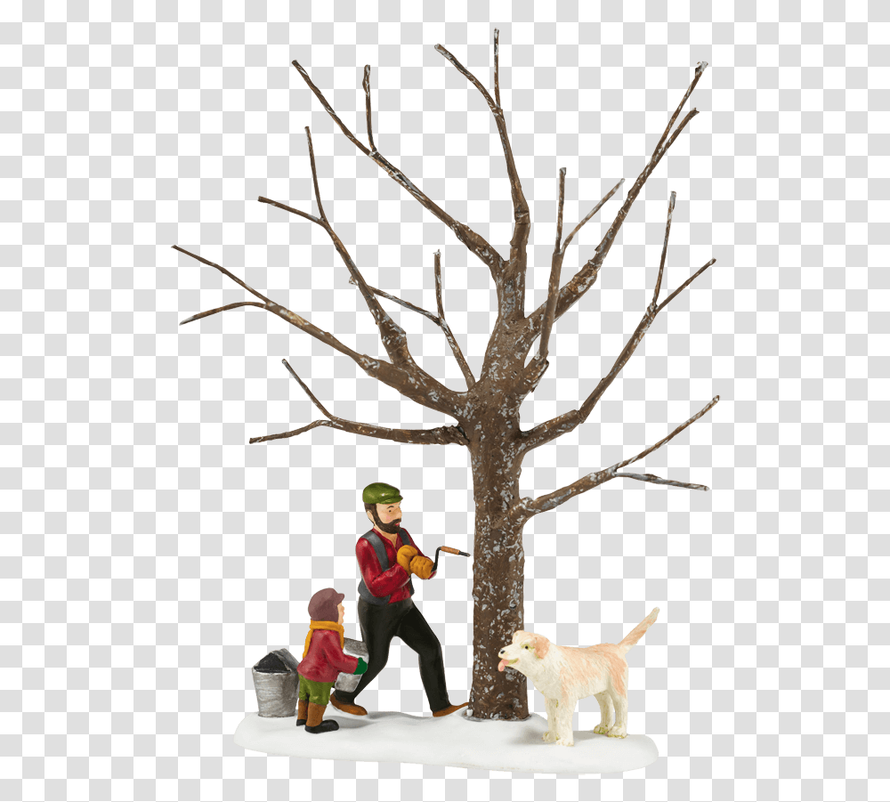 The First Tap Snow, Person, Tree, Plant, People Transparent Png