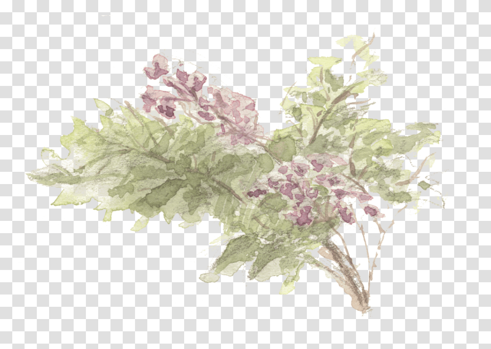 The First Wisteria In 11 Years Hikarui Watercolor Painting, Pattern, Plant, Leaf, Ornament Transparent Png