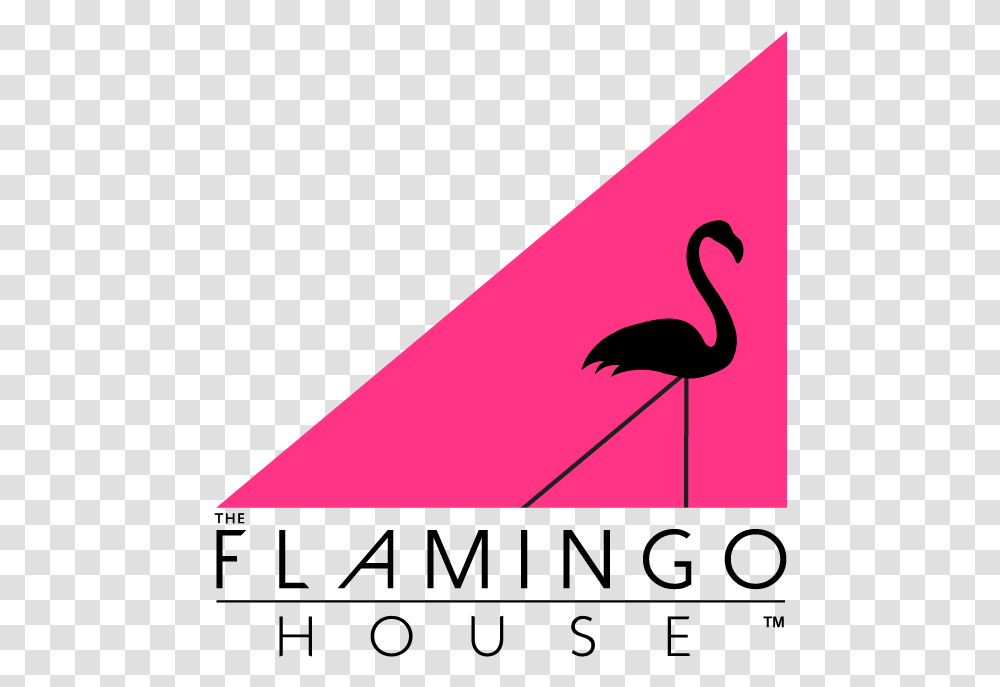 The Flamino House Boca Raton Events Greater Flamingo, Bird, Animal, Waterfowl, Silhouette Transparent Png