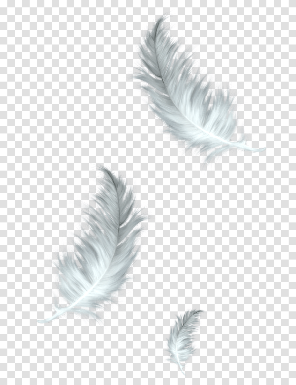 The Floating Feather Bird Clip Art Feathers Download Feathers, Nature, Outdoors, Fractal, Pattern Transparent Png
