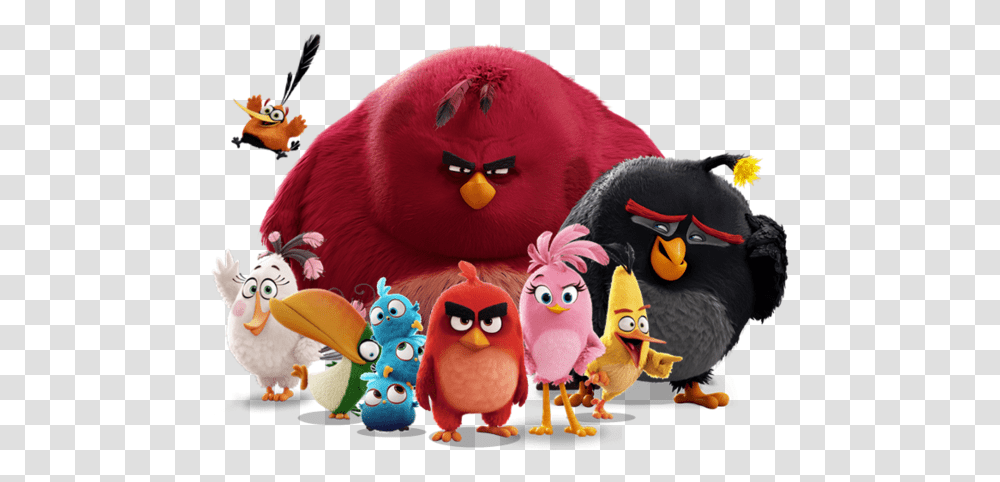 The Flock Angry Birds Wiki Fandom Angry Birds, Toy, Animal Transparent Png