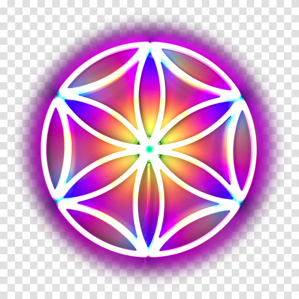 The Flower Of Life Single Seed Art Photonicbliss Aphrodite Symbol Transparent Png
