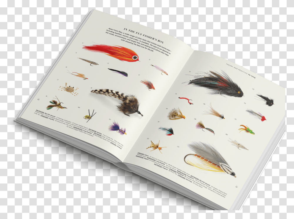 The Fly Fisher Gestalten Book FlyfishingClass Madagascar Hissing Cockroach, Bird, Animal, Page Transparent Png