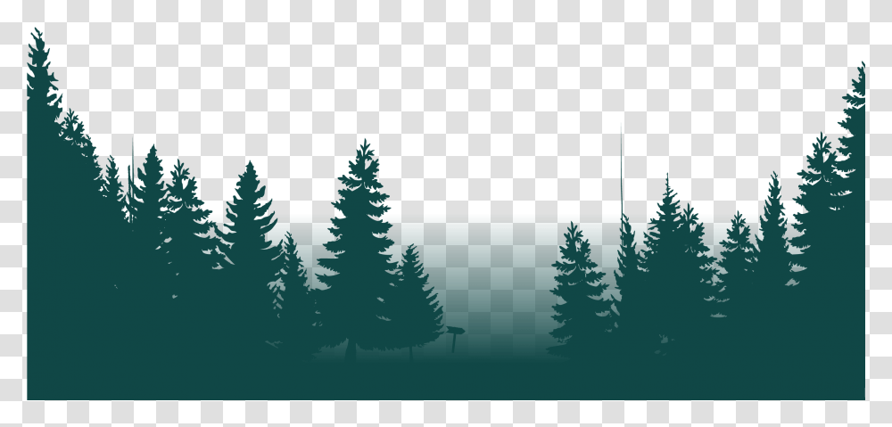 The Forest Christmas Tree, Plant, Fir, Pine, Conifer Transparent Png