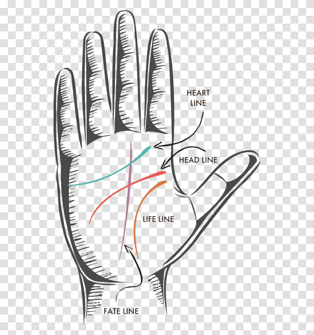 The Four Major Lines Life Lines On Hand, Clothing, Apparel, Glove Transparent Png