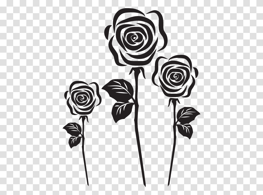 The Free Roses Vector Roza Vektor, Plant, Flower, Blossom Transparent Png
