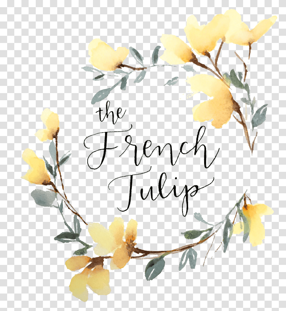 The French Tulip Studio Flower Design Logo Yellow, Plant, Petal, Floral Design, Pattern Transparent Png