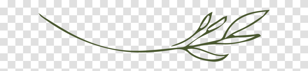 The Fresh Bloom Twig Moss, Plant, Sport, Team Sport, Produce Transparent Png