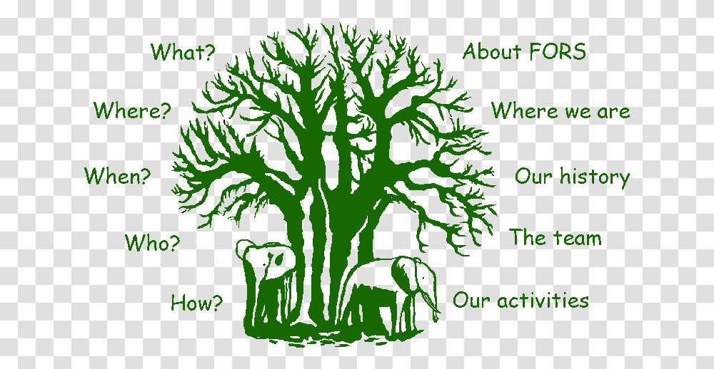 The Friends Of Ruaha Society Tree, Green, Plant, Graphics, Art Transparent Png
