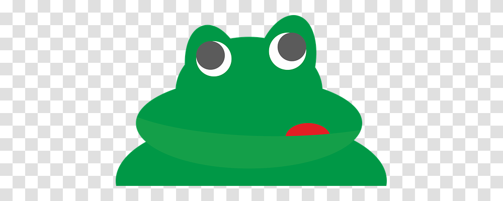 The Frog Animals, Mammal, Baseball Cap, Wildlife Transparent Png