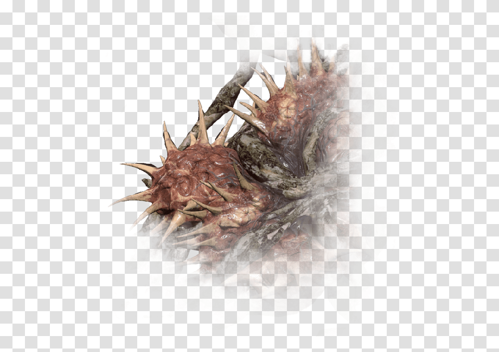 The Ghost In Tree The Official Witcher Wiki The Witcher, Dragon, Lobster, Seafood, Sea Life Transparent Png