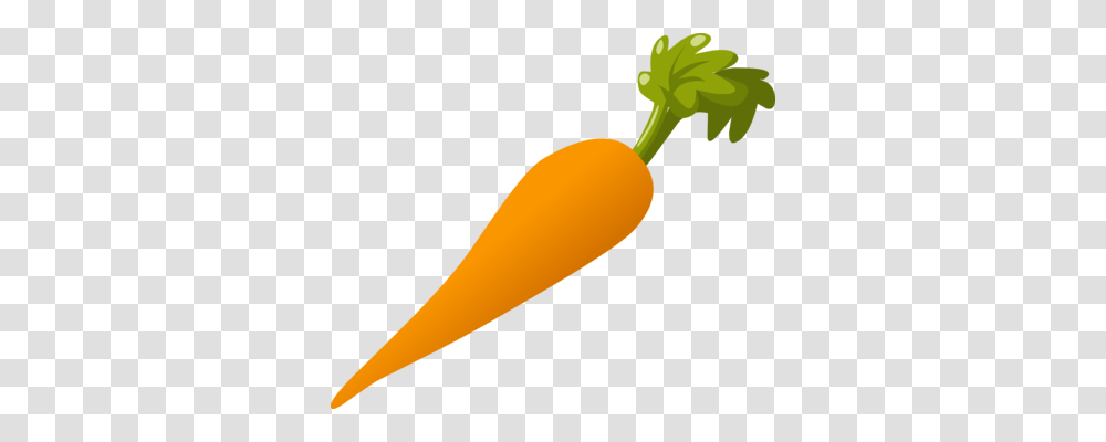 The Gigantic Turnip Radish Beetroot Vegetable, Plant, Carrot, Food Transparent Png