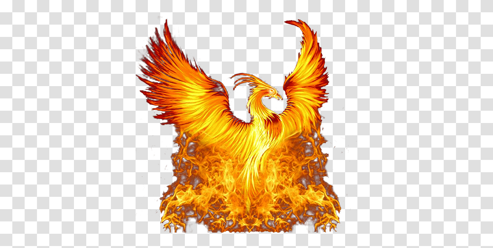 The Golden Phoenix Chess Club Chesscom Phoenix Bird, Fire, Bonfire, Flame Transparent Png