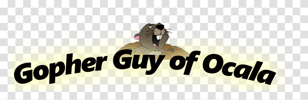 The Gopher Guy Of Ocala, Rodent, Mammal, Animal, Wildlife Transparent Png