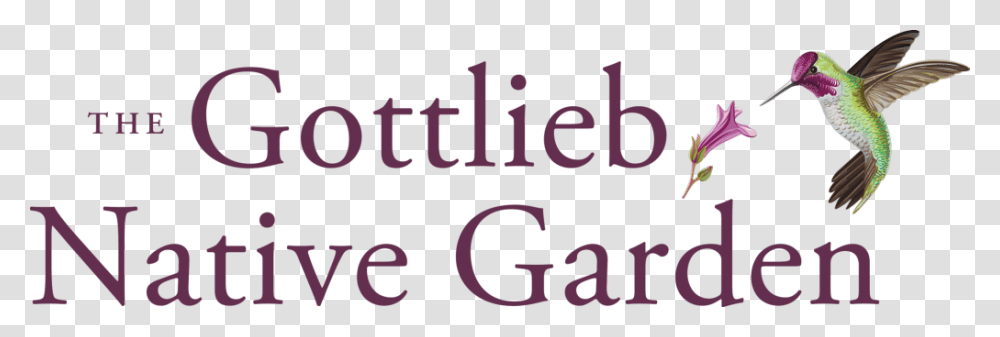 The Gottlieb Native Garden Parfumerie Fragonard, Alphabet, Bird, Word Transparent Png